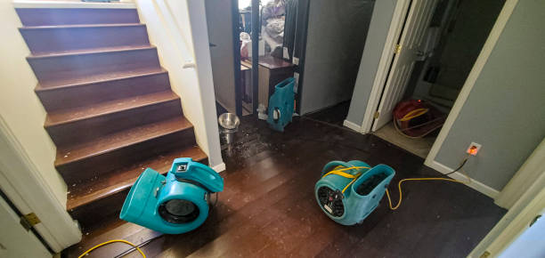 Best Fire Damage Restoration  in East Highland Park, VA