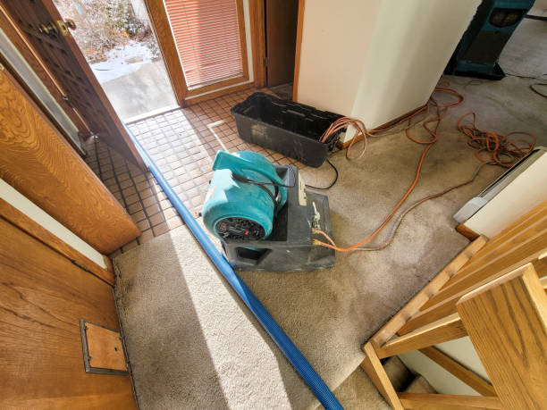 Best Water damage restoration near me  in East Highland Park, VA