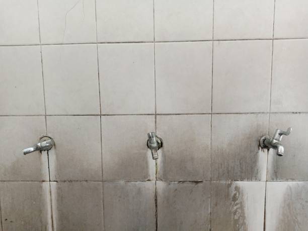 Best Ceiling water damage repair  in East Highland Park, VA