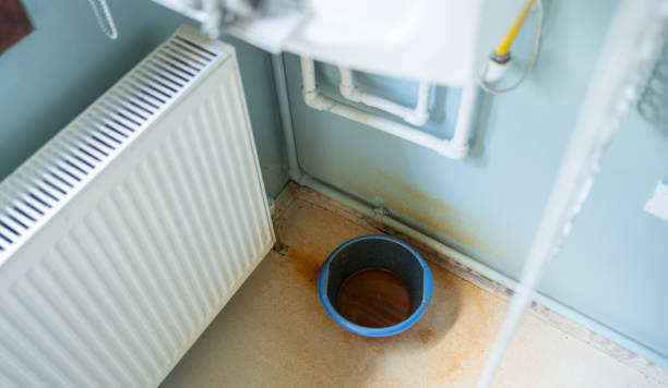 Best Flooded house restoration  in East Highland Park, VA