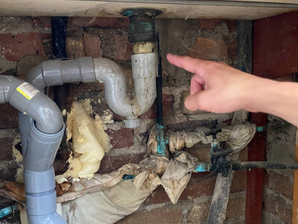 Best 24-hour water damage restoration  in East Highland Park, VA