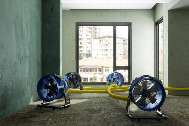 Best Emergency water damage restoration  in East Highland Park, VA